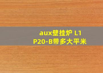 aux壁挂炉 L1P20-B带多大平米